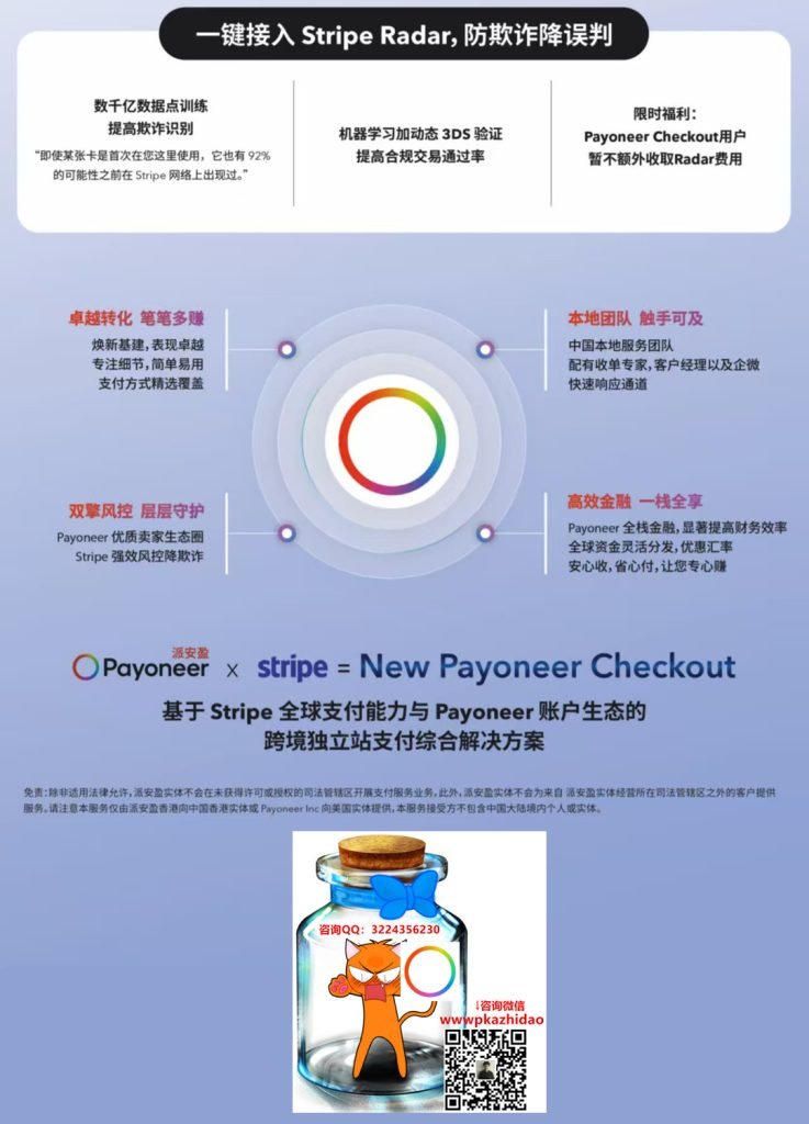 2-737x1024 使用Payoneer收独立站、收单，并提现到国内的方法