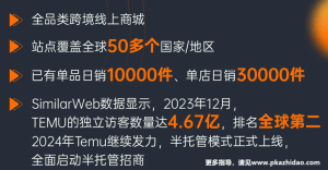 Temu1-300x156 Temu1
